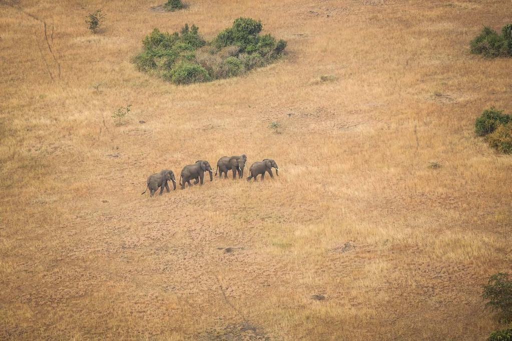 DZIEŃ 14 PARK NARODOWY JEZIORA MBURO BWINDI JEZIORO MBURO Rano po śniadaniu zaczynamy trasę powrotną do cywilizacji, w kierunku stolicy Kampali i lotniska w Entebbe.