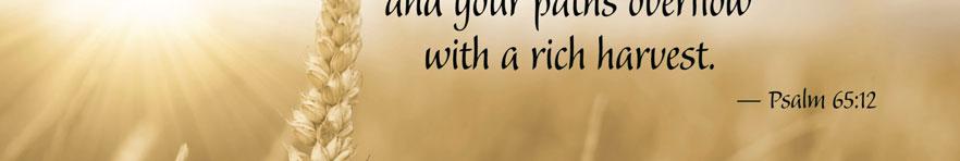 Today, however, I want to put myself in the shoes of the sower. Is there a sower in me? The sower's wisdom lies in the fact that he does not appreciate the value of the soil. He just sows.