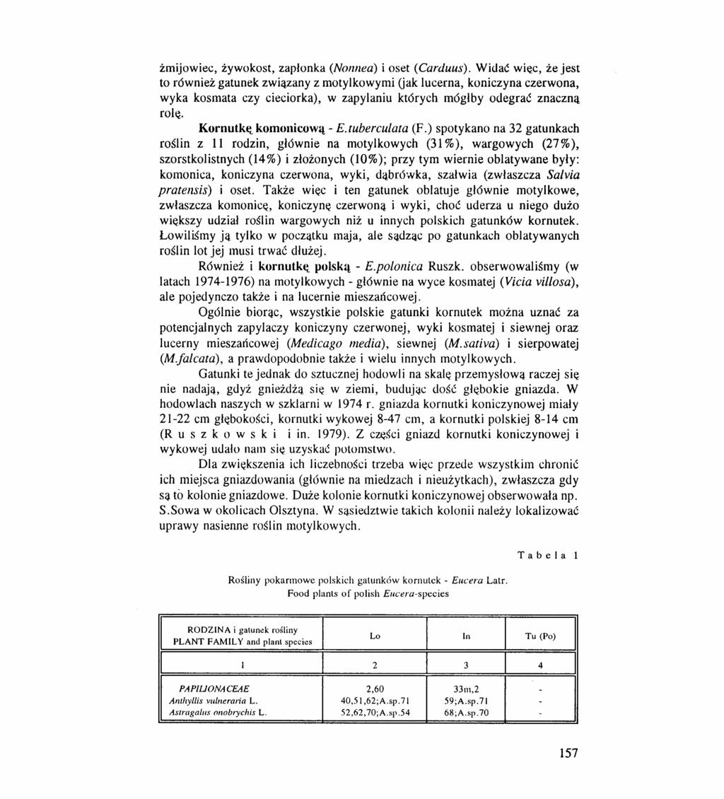 żmijowiec, żywokost, zapłonka (Nonneai i oset (Carduus).