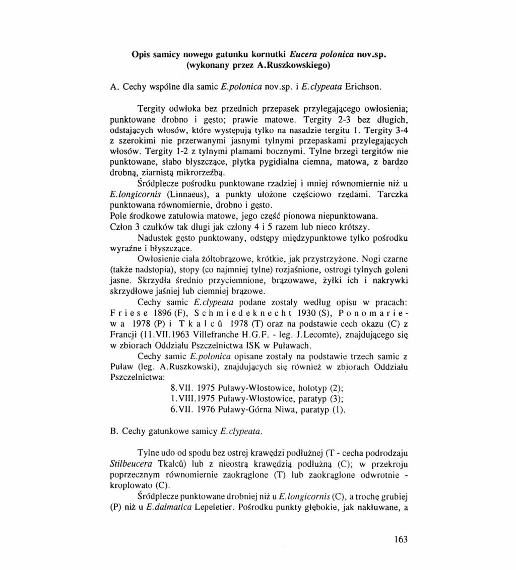 Opis samicy nowego gatunku kornutki Eucera polonica nov.sp. (wykonany przez A.Ruszkowskiego) A. Cechy wspólne dla samic E.polonica nov.sp. i E.clypeata Erichson.