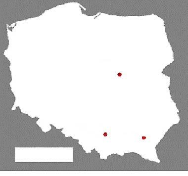 Rzeszów On the Use of Stochastic
