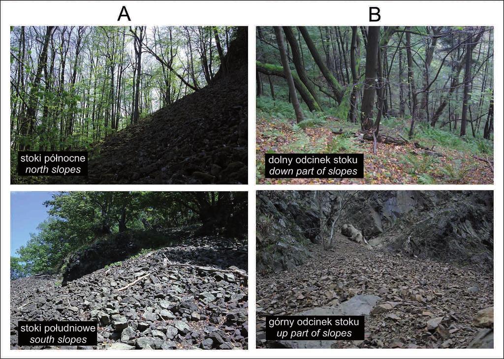 Fot. 2. Stoki usypiskowe Ostrzycy (A) i Kalwarii (B) Photo 2. Scree slopes of Ostrzyca (A) and Kalwaria (B) Wzniesienie Kalwarii (Góry Bardzkie, 582 m 
