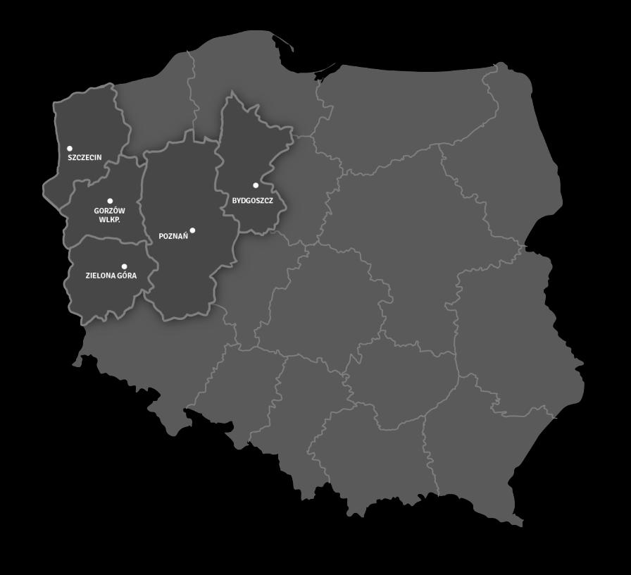 Dystrybucja 11 908 km 4 225 szt. 1 881 GWh 303 395 16 859km 5 905szt.. 2 098 GWh 484 032 11 264 km 3 775szt. 1 278 GWh 233 629 22 677 km 8 444 szt.
