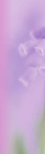 Beauty-Shake 2