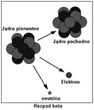 emitowane z jądra (α, β +, β -, p, n,.