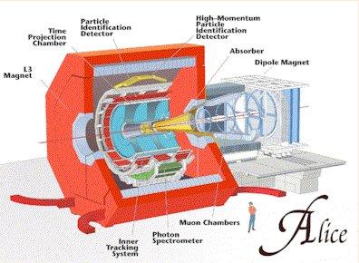 CHAPTER 4. ALICE DETECTOR AT LHC 21 field strength of 0,5 T within a volume of 1 600 m 3. Various detectors are arranged in cylindrical shells around the interaction point.