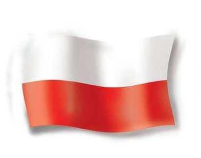Jak uczyć nasze dzieci patriotyzmu Dawaj przykład - wywieś flagę, zabierz dziecko na wybory Dzieci są chłonne jak gąbka, najlepiej uczą się poprzez obserwacje i naśladowanie.
