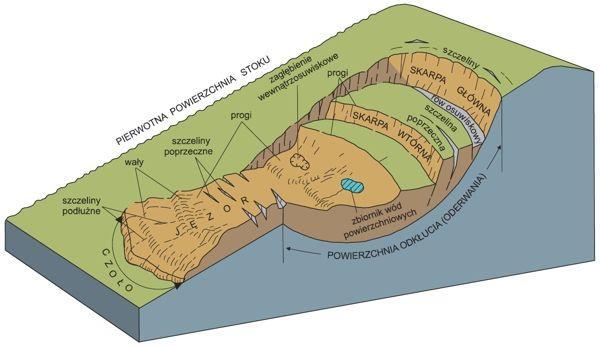Rys.1. Schemat osuwiska (wg PIG - 2008).