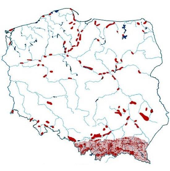 Ze względu na aktywność, osuwiska dzieli się na : aktywne (kolejne przemieszczenia gruntu rejestrowane są w skali jednego roku), mało aktywne (uaktywniają się co kilka lat ), nieaktywne ( formy