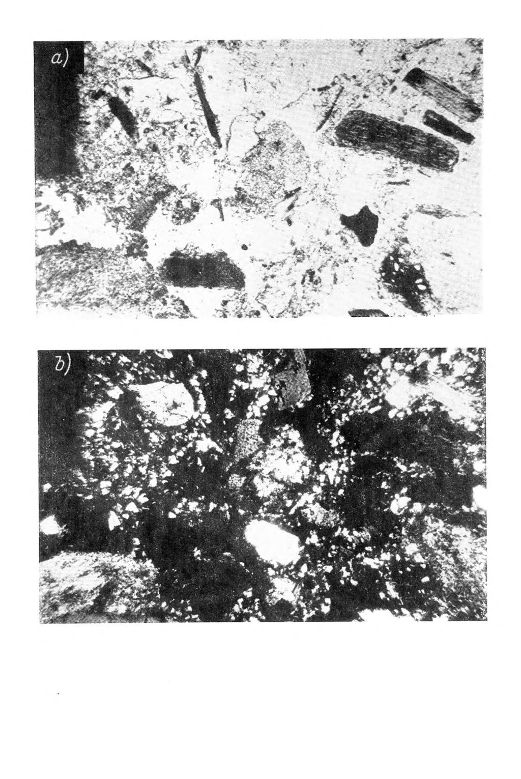 Rys. 10. Prol'il 6 gleba leśna brunatna kwaśna wytworzona z granitu, poziom В С (45-55 cm). Minerały pierwotne otoczone substancją wysokodyspers.
