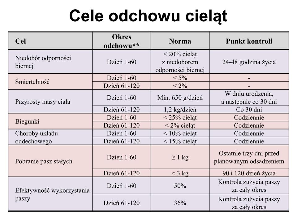 Optymalne kryteria wzrostu dla jałówek remontowych