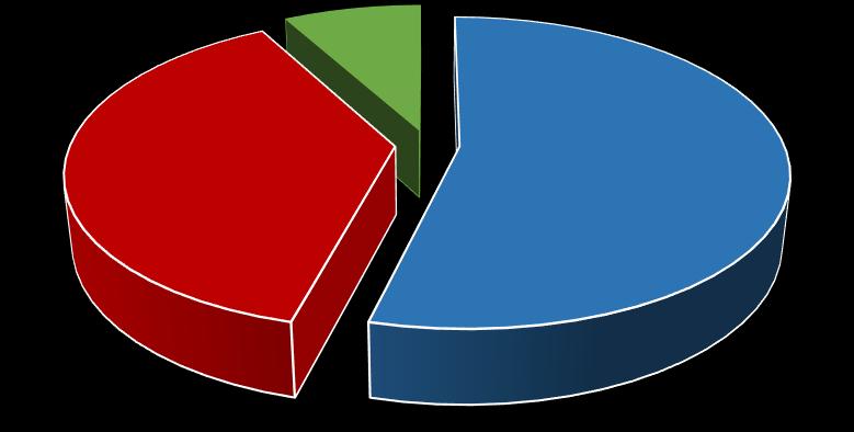 Statystka projektów