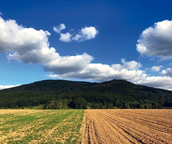 INWESTYCJE W SOBÓTCZAŃSKĄ WIEŚ W latach 2011-2012 przeprowadzono prace remontowe przy świetlicy wiejskiej w Kryształowicach, Olbrachtowicach oraz Świątnikach.
