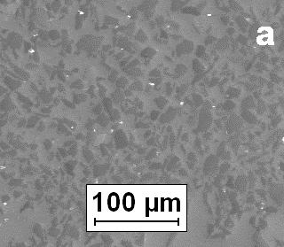 Rys. 4. Struktura kompozytu AK12-SiC 10µm odgazowanego z wykorzystaniem techniki próżniowej Fig. 4. Structure of AK12-SiC 50µm composite degassing with the use of vacuous technology 4.