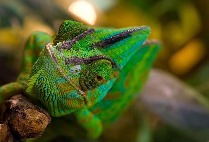 eu PL ZAPISZ SIĘ ZA DARMO 5 LAT GWARANCJI Produkty Tamron są produkowane w naszych bardzo nowoczesnych zakładach z największą starannością i precyzją, aby zapewnić niezakłócone fotografowanie.