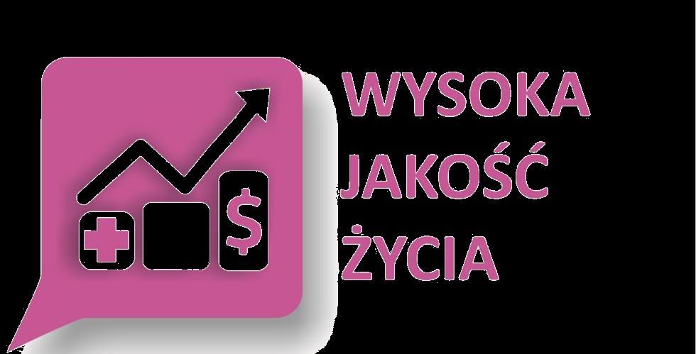 Rozwiązania technologiczne i organizacyjne wykorzystywane do świadczenia usług społecznych, w szczególności w zakresie edukacji, zdrowia, bezpieczeństwa, pracy i spędzania czasu wolnego.