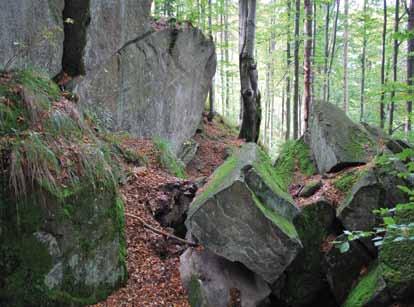 Walory parku Budowa geologiczna Zwalisko Podłoże Parku tworzą przede wszystkim piaskowce i łupki, należące do dwóch dużych jednostek geologicznych: płaszczowiny podśląskiej oraz płaszczowiny śląskiej.