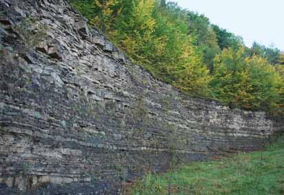 Rzeźba terenu Beskid Mały na terenie województwa małopolskiego, często określany jako Beskid Andrychowski, składa się z dwóch głównych grzbietów górskich.