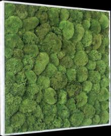 NATURALNY PRODUKT 100% ORGANIC.