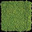 55 55 cm may green leaf green MADE IN POLAND A