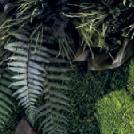 płaski Wyspa roślinna Jungle Mech poduszkowy Mech reniferowy MADE IN