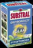 KIEDY SADZIMY? Wszystkie drzewa i krzewy możemy sadzić w okresie ich spoczynku, czyli jesienią i wczesną wiosną. Najlepiej, gdy roślina zaczyna wegetację: od połowy marca do połowy kwietnia.