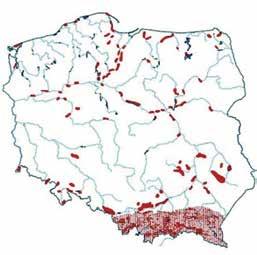 duża siła erozyjna rzek, katastrofalne opady deszczu czy wreszcie działalność ludzka w nieprzemyślany sposób wprowadzająca dodatkowe zmiany w równowadze stoków.