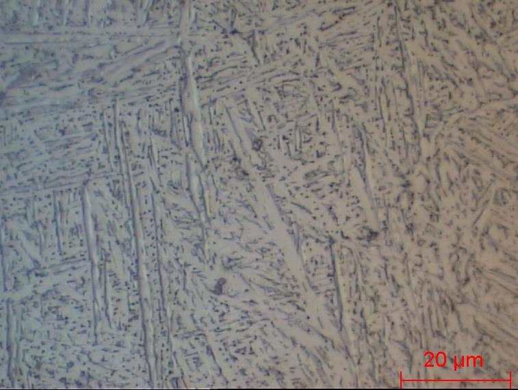 DENTAURUM LaserCUSING : Gęsta, drobna mikrostruktura