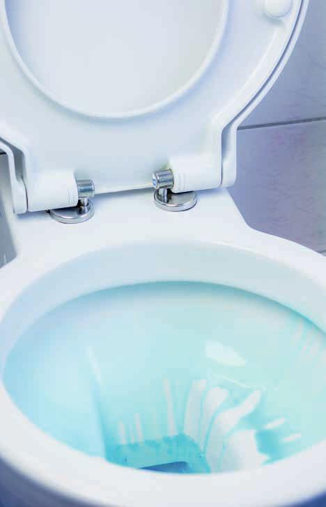 Simply Toilet Bowl Cleaner NOWOŚĆ Co wyczyszczę?