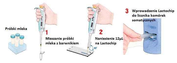 CCD, analiza mleka jest precyzyjna, niezawodna i szybka.