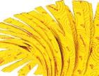 13 l 22,90 Mop paskowy (28,17 BRUTTO)