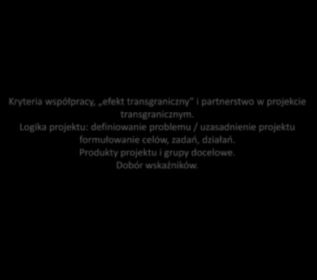 Kryteria współpracy, efekt transgraniczny i partnerstwo w projekcie transgranicznym. Logika projektu: definiowanie problemu / uzasadnienie projektu formułowanie celów, zadań, działań.