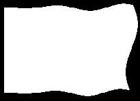 Uniwersytet