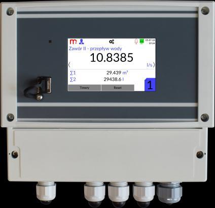 Wyposażenie przyrządu w dwa wejścia analogowe (RTD, 4-20mA, 0-10V) oraz dwa wejścia typu PULS (pomiar częstotliwości, zliczanie impulsów, śledzenie i rejestracja sygnału binarnego) umożliwia pomiar