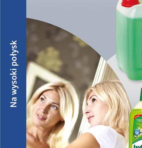 89 LUDWIK PŁYN DO SZYB I GLAZURY 750 ML sprzedaż po