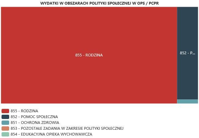 ŚRODKI FINANSOWE NA WYDATKI W POMOCY SPOŁECZNEJ I INNYCH OBSZARACH POLITYKI SPOŁECZNEJ W BUDŻECIE JEDNOSTKI SAMORZĄDU TERYTORIALNEGO (zadania własne i zadania zlecone) W złotych WYSZCZEGÓLNIENIE 217