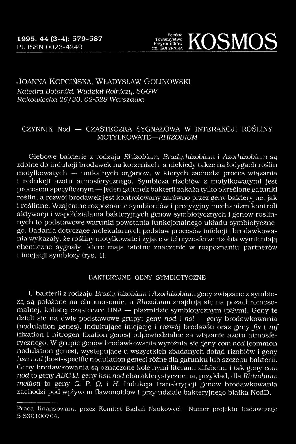 W INTERAKCJI ROŚLINY MOTYLKOWATE RHIZOBIUM Glebowe bakterie z rodzaju Rhizobium, Bradyrhizobiwn i Azorhizobium są zdolne do indukcji brodawek na korzeniach, a niekiedy także na łodygach roślin