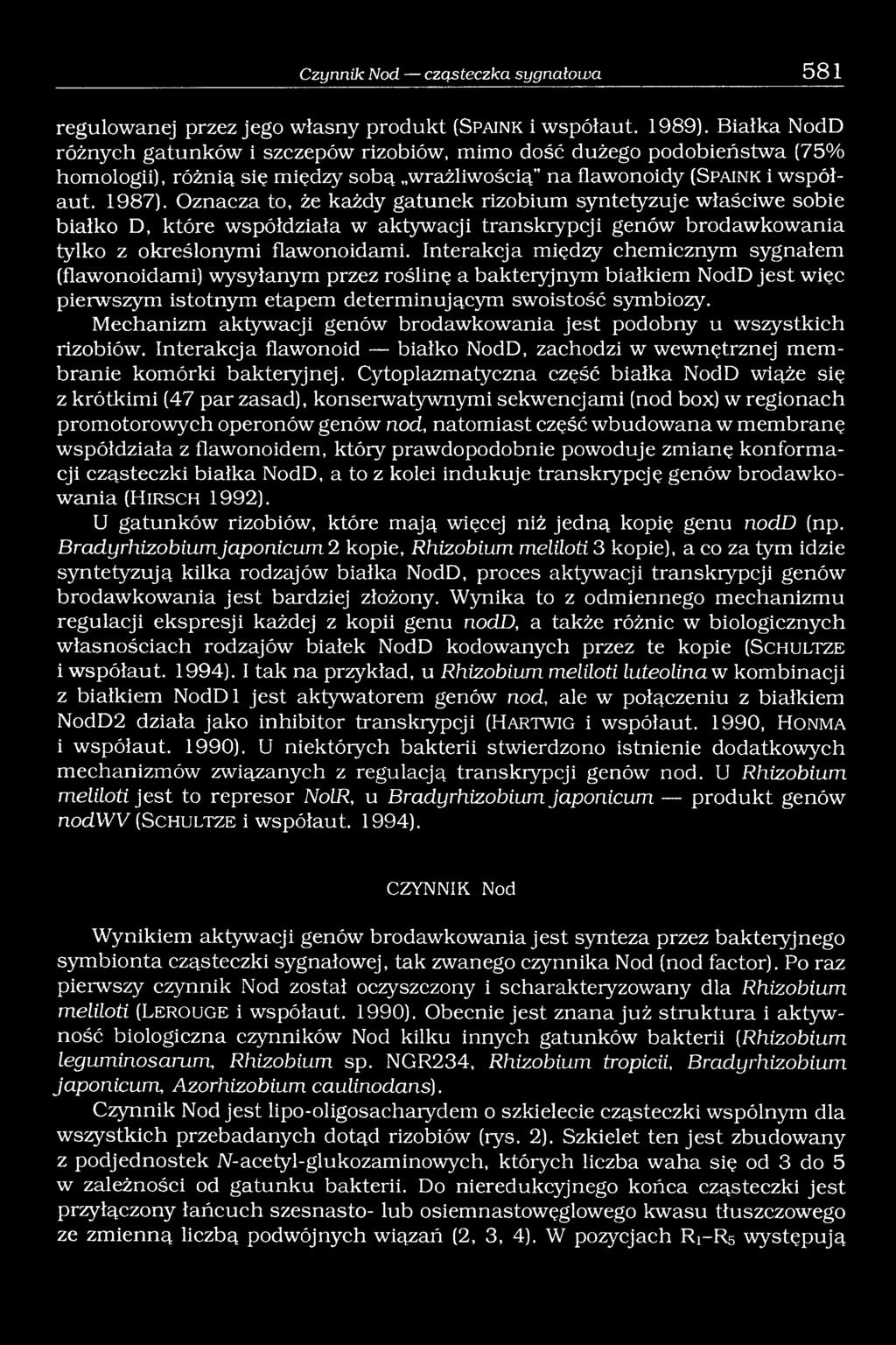 Oznacza to, że każdy gatunek rizobium syntetyzuje właściwe sobie białko D, które współdziała w aktywacji transkrypcji genów brodawkowania tylko z określonymi flawonoidami.
