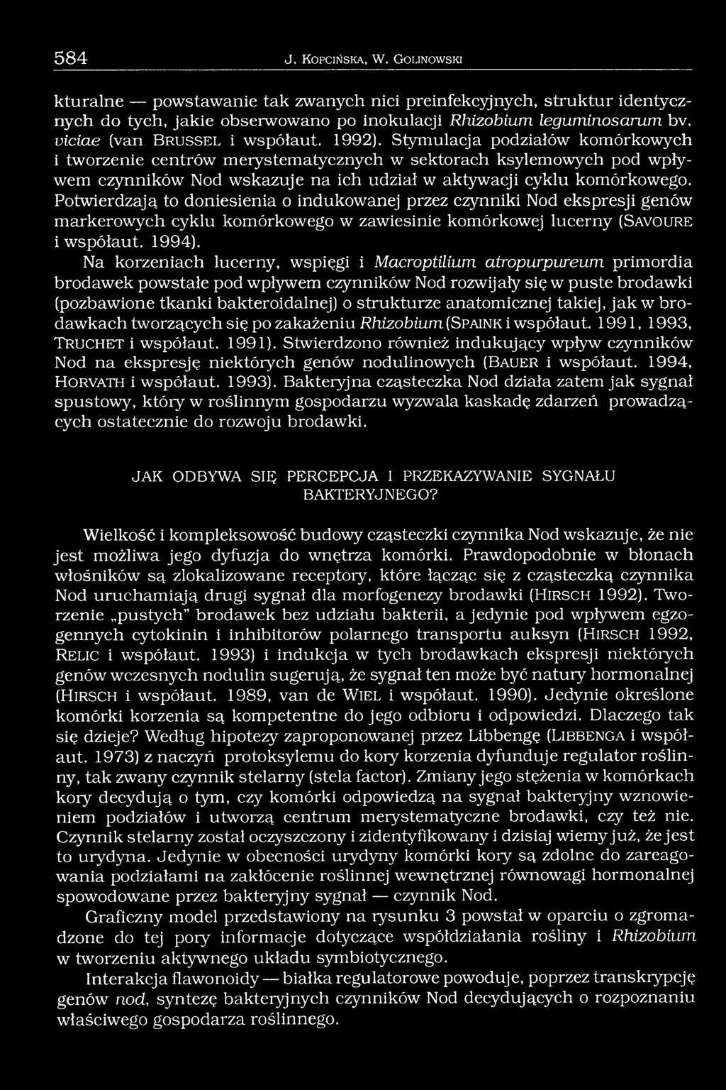 Stymulacja podziałów komórkowych i tworzenie centrów merystematycznych w sektorach ksylemowych pod wpływem czynników Nod wskazuje na ich udział w aktywacji cyklu komórkowego.
