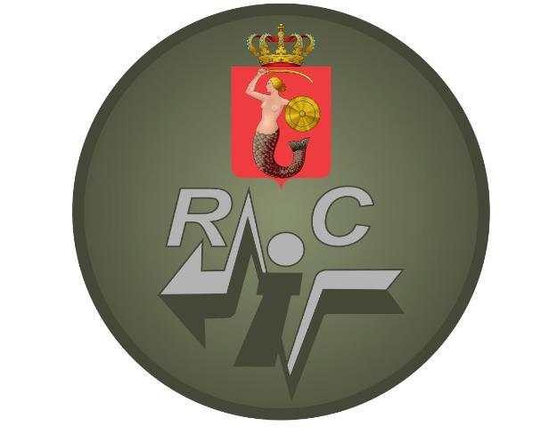 Oznaka rozpoznawcza Regionalnego Centrum Informatyki w Warszawie na mundur wyjściowy 1 000 szt.