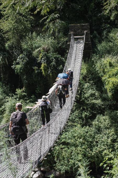 lasy, białe i różowe rododendrony wysoko nad Langtang Khola.