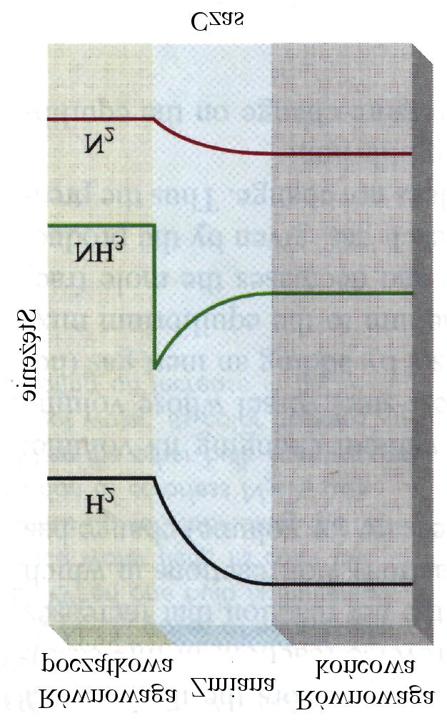 Zmiana stężenia N + 3H NH3 Zmiany w stężeniu H,