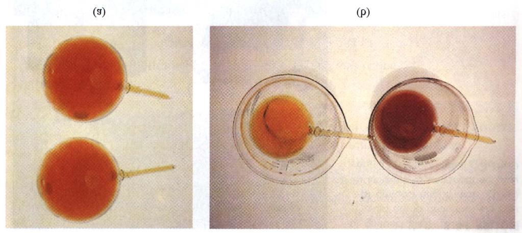 Zmiana temperatury N O bezbarwny brunatny NO 4 NO N O 4 H = 58.0kJ H = 58.