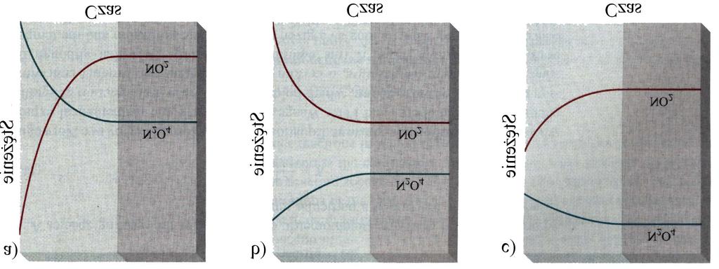 Zmiana stężenia NO i N O 4 w czasie a C b C c C o N O o