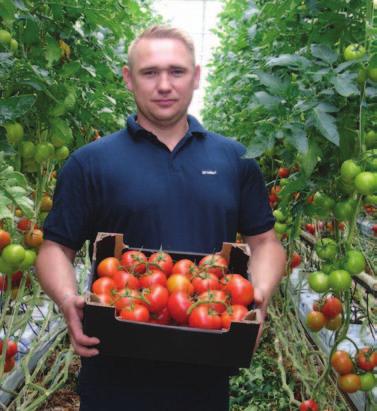 jest trwałość owoców. W tabeli poniżej znajdują się wyniki testu twardości owoców po trzech oraz po dziesięciu dniach przechowywania w temperaturze 20 o C.