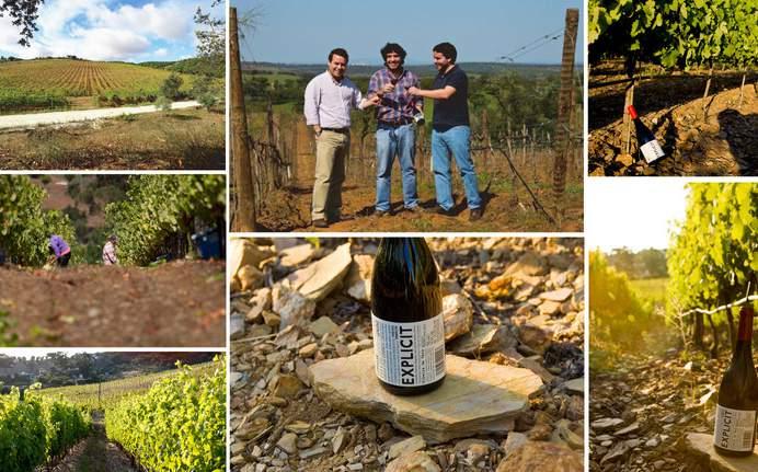 PORTUGALIA / MONTE DO MATA MOUROS Projekt Monte do Mata Mouros narodził się po to, aby tworzyć i wprowadzić na rynek unikatową markę wysokiej jakości win.