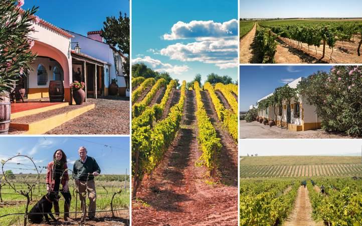 PORTUGALIA / HERDADE GRANDE Portugalska winnica Herdade Grande to posiadłość usytuowana 5 km od Vidigueira, miejscowości leżącej w regionie Alentejo.