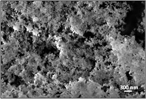 As the dispersion phase, powder with nanometric sized particles was used at contents of 1 and 2 g/dm 3 in the bath.