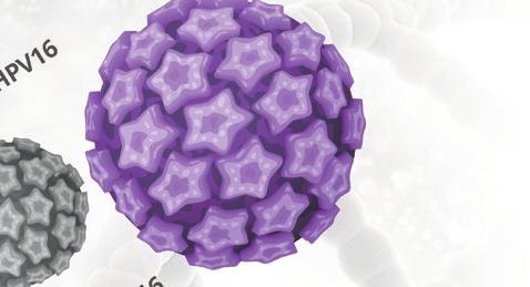 Nowotwory te cechuje większa wrażliwość na chemioterapię, radioterapię oraz lepsze rokowanie chorzy lepiej reagują na leczenie onkologiczne.