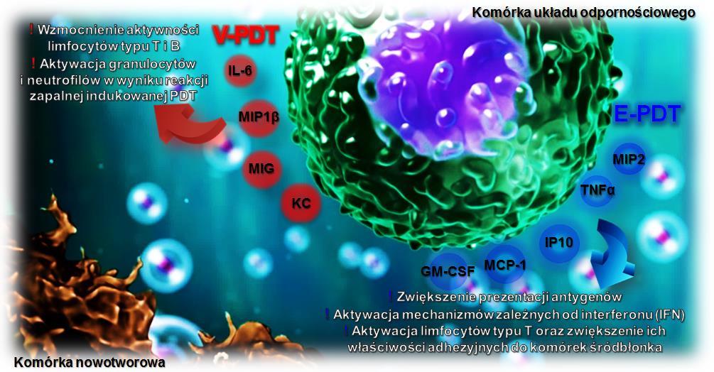 Rysunek 3.